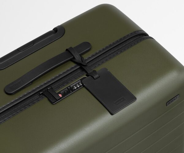 The Large in Olive Green