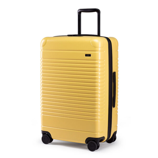Arlo Skye X Dusen Dusen: Luggage