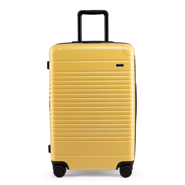 Arlo Skye X Dusen Dusen: Luggage