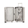 The Frame Carry-On